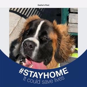 Meet your Posher, Kathy